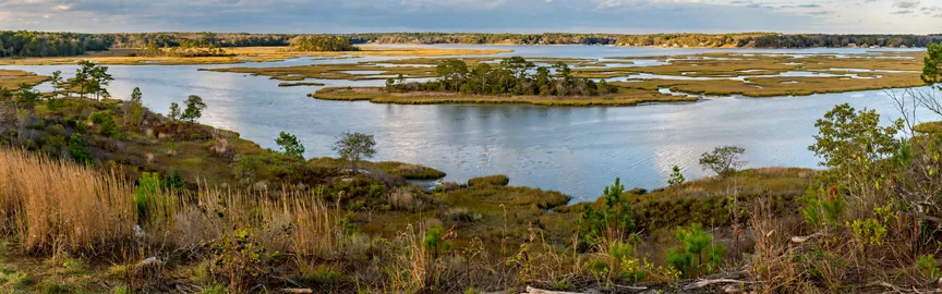 The Best Outdoor Activities to Do in Absecon, NJ